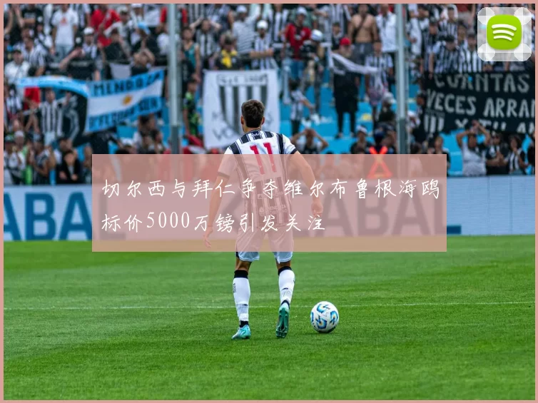 切尔西与拜仁争夺维尔布鲁根海鸥标价5000万镑引发关注