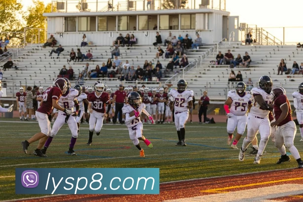 多媒体互动体验